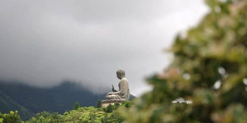 Developing the muscle of reflection in meditation practice